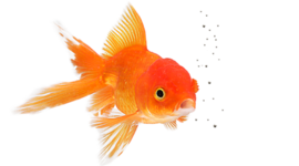 Timeline: Developments in technology