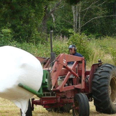 Timeline: T H I C C-Mallo