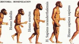 Timeline: Evolución del Hombre