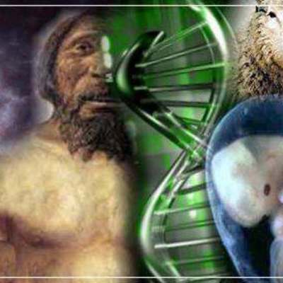 Timeline: evolucion de la vida en la tierra