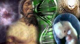 Timeline: evolucion de la vida en la tierra