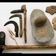 Origen y evolucion