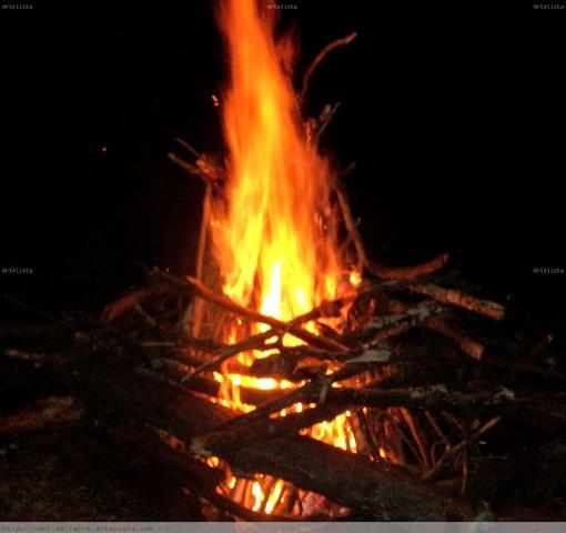 evolución de la estufa (cocina) timeline | Timetoast timelines