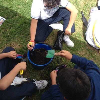 Timeline: LÍNEA DE TIEMPO DE LA TEORÍA PEDAGÓGICA