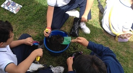 Timeline: LÍNEA DE TIEMPO DE LA TEORÍA PEDAGÓGICA