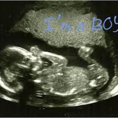 Timeline: From Conception To Birth