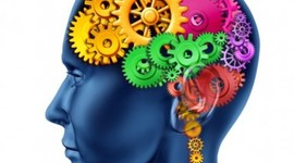 Timeline: desarrollo de las HABILIDADES VISOESPACIALES, VISOPERCEPTIVAS y VISOMOTORAS