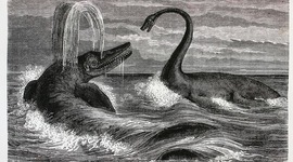 Timeline: Viaje al centro de la tierra