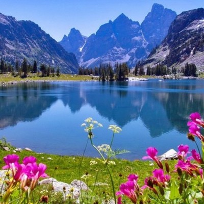 Timeline: La naturaleza maravillosa