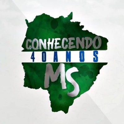 Timeline: 40 ANOS MS