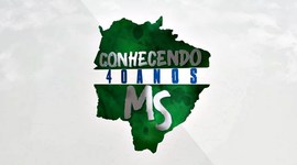 Timeline: 40 ANOS MS