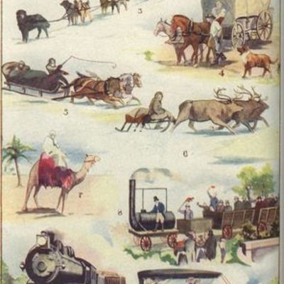 Timeline: El transporte SIGLOS XIX- XX