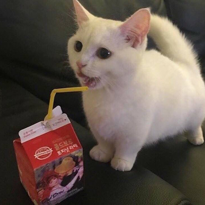 Timeline: Historic Timeline of the Atom