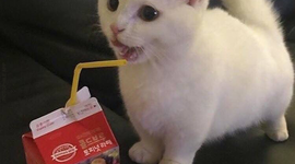 Timeline: Historic Timeline of the Atom