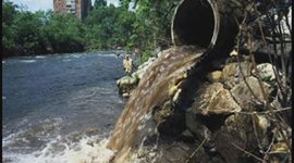 Timeline: ESTUDIO DE IMPACTO AMBIENTAL