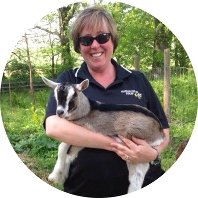 Timeline: Prehistoric to Rome