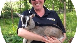 Timeline: Prehistoric to Rome