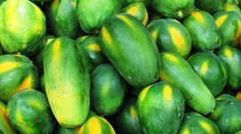 Timeline: Experimento