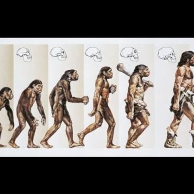 Timeline: GLI OMINIDI