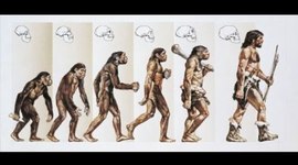 Timeline: GLI OMINIDI