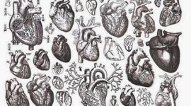 Timeline: La biología y sus grandes descubrimientos...