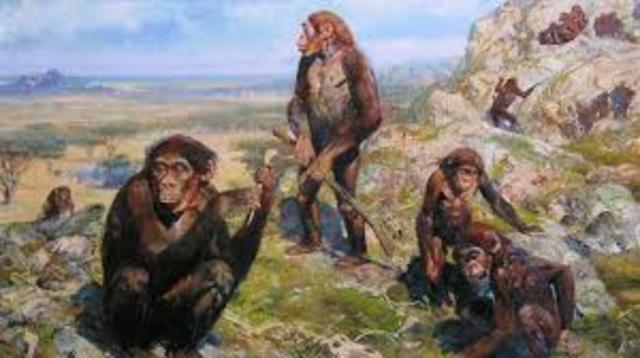 Il Primo Uomo Sulla Terra Di Che Colore Era