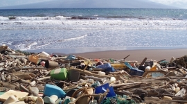 Timeline: Ocean Pollution