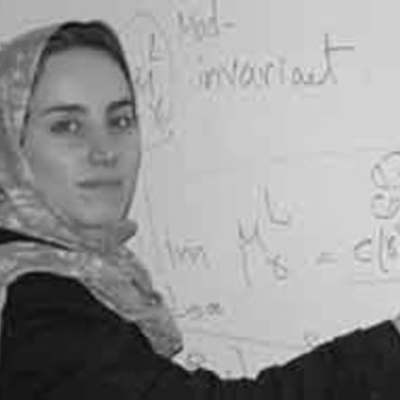 Timeline: Maryam Mirzajani : "You have to spend some energy and effort to see the beauty of math."