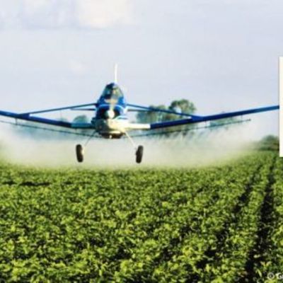 Timeline: Modelo productivo agroexportador Argentino