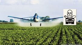 Timeline: Modelo productivo agroexportador Argentino