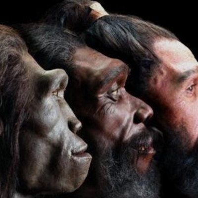 Timeline: GLI OMINIDI