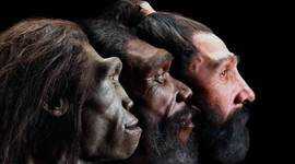 Timeline: GLI OMINIDI