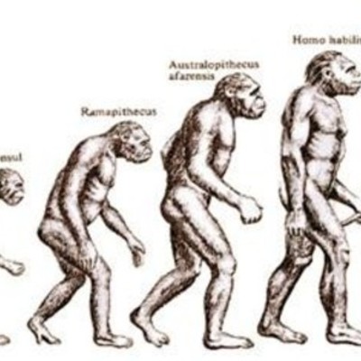 Timeline: Gli ominidi