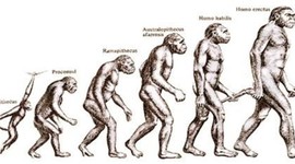 Timeline: Gli ominidi