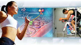 Timeline: LINEA DE TIEMPO CIENCIAS DEL EJERCICIO