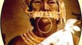 Timeline: Prensa en suba