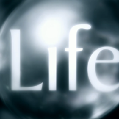 Timeline: A Scientific Vision on the Origins of Life