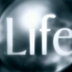 Life 1