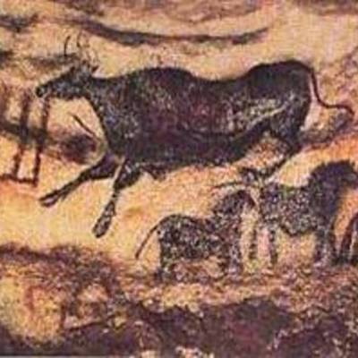 Timeline: Historia de la Medicina Veterinaria