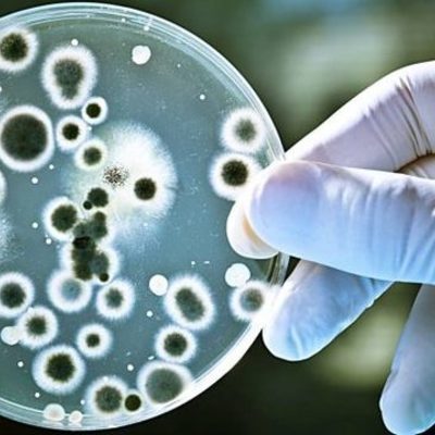 Timeline: Linea del tiempo QBP