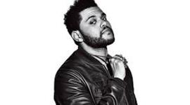 Timeline: THE WEEKND
