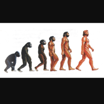 Timeline: Gli ominidi