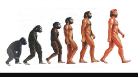 Timeline: Gli ominidi