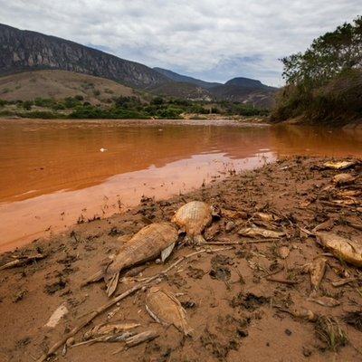 Timeline: Desastre Ambiental em Mariana