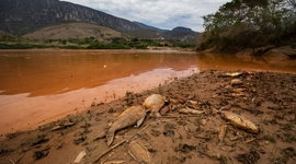 Timeline: Desastre Ambiental em Mariana