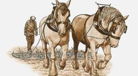 Timeline: los 8 mejores inventos de la historia