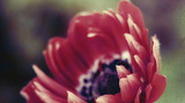 Timeline: New Sample