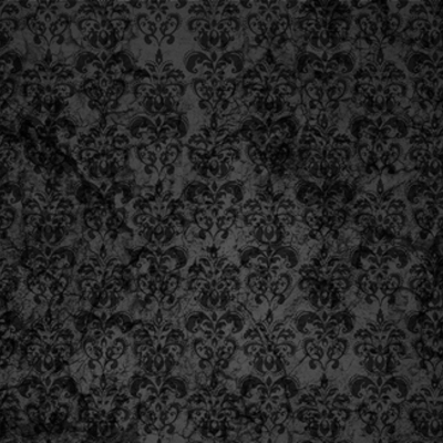 Timeline: Somos Revolución