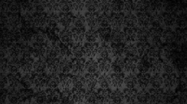 Timeline: Somos Revolución