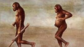 Timeline: Concepción de la infancia y la adolescencia